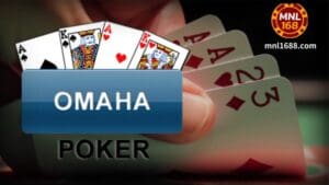 Ang mga high-stakes na larong ito ay lumalaki sa katanyagan, at marami sa mga Omaha Hi-Lo na laro na makikita mo online ay